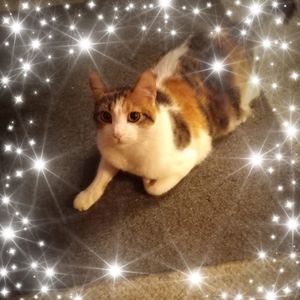 Meet your Posher, Eileen